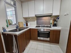 The Raintree (D21), Condominium #465921381